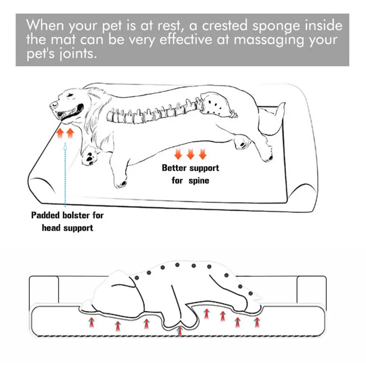 Orthopedic Dog Bed – Pressure-Relief Comfort – Removable Washable Cover – Extra Large (47.2×35.4×7.8″) – Dogs 88–132 lbs