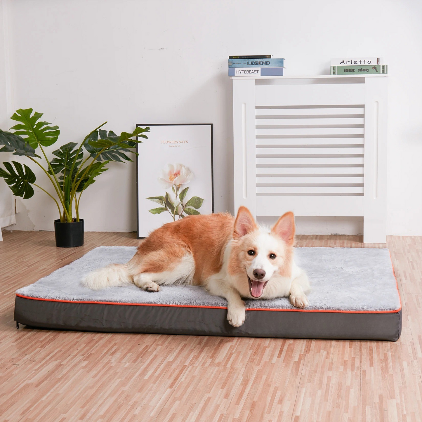 Orthopedic Dog Bed – Joint Relief – Waterproof Sponge Foam – 37.4×27.5×3.1″ Large – Dogs