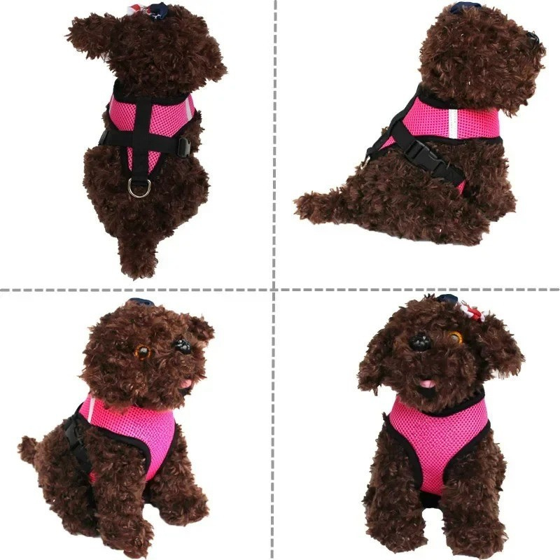 Pet Harness & Leash Set – Quick‑Release Adjustable Polyester Mesh – Breathable S/M/L Vest – Cats & Small Dogs