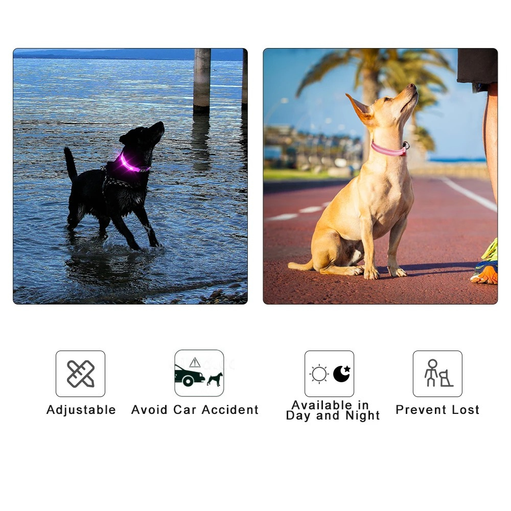 Rechargeable LED Dog Collar – Reflective Night Safety Visibility – Waterproof Nylon – USB Light‑Up Adjustable (S–L) – Small to Large Dogs