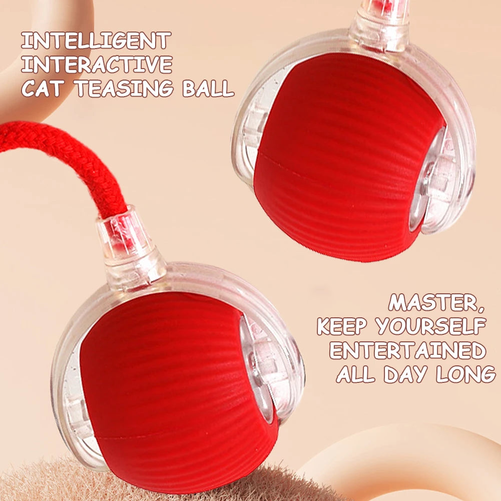 Automatic Rolling Cat Ball – Self‑Rotating Interactive Cat Toy – USB‑Rechargeable Plastic & Silicone – 2.56″ Diameter – Indoor Cats & Kittens