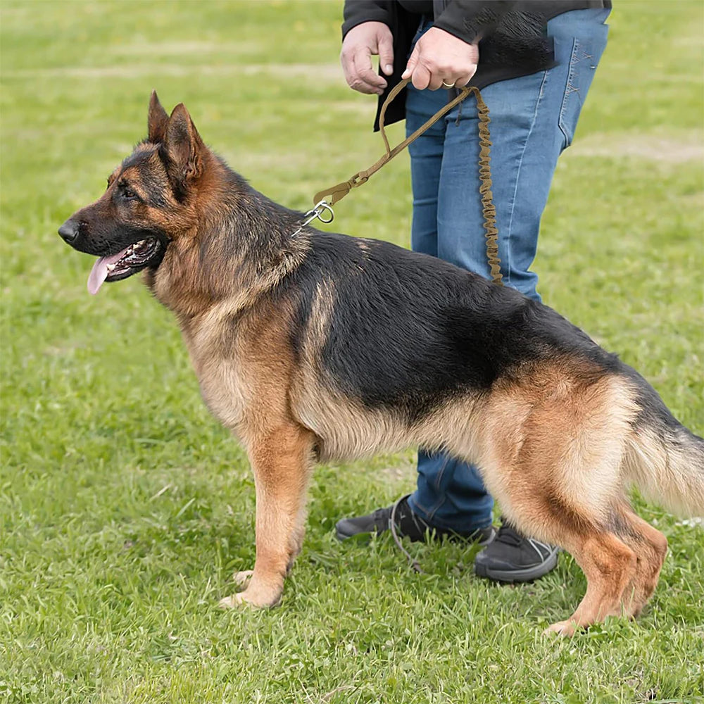 Tactical Dog Leash – Shock‑Absorbing Bungee – Premium Nylon – Adjustable 41 – 57 in – Medium & Small Dogs