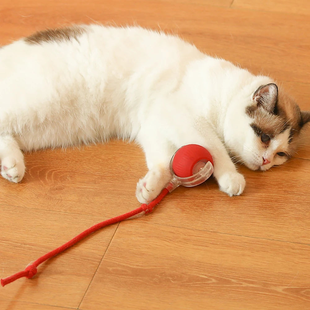 Automatic Rolling Cat Ball – Self‑Rotating Interactive Cat Toy – USB‑Rechargeable Plastic & Silicone – 2.56″ Diameter – Indoor Cats & Kittens