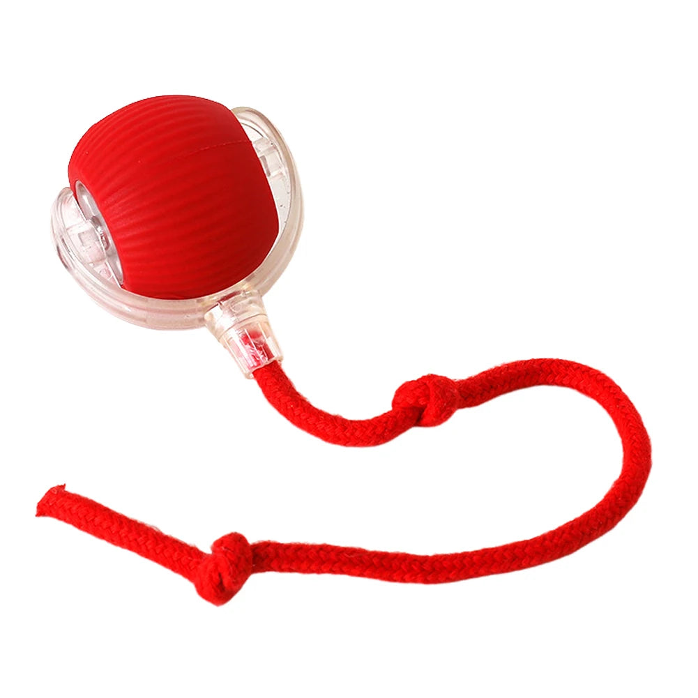 Automatic Rolling Cat Ball – Self‑Rotating Interactive Cat Toy – USB‑Rechargeable Plastic & Silicone – 2.56″ Diameter – Indoor Cats & Kittens