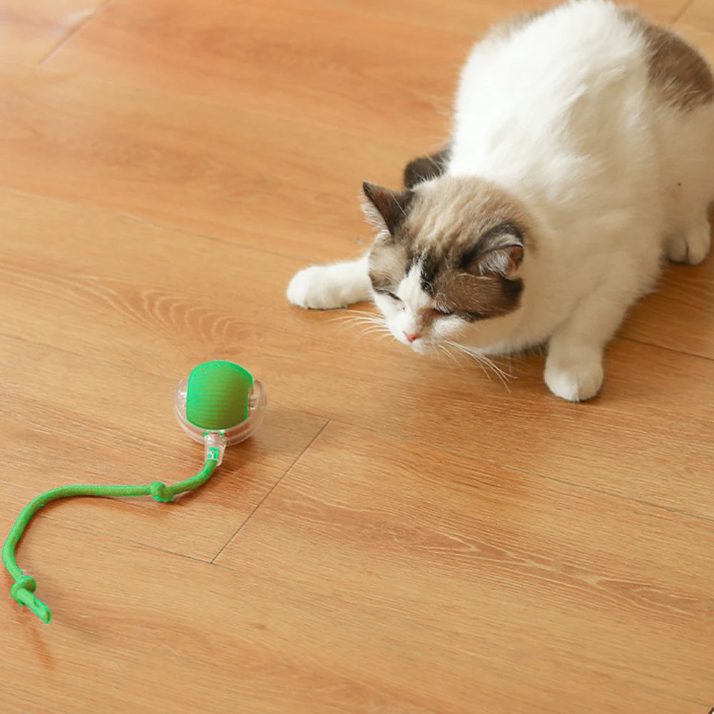 Automatic Rolling Cat Ball – Self‑Rotating Interactive Cat Toy – USB‑Rechargeable Plastic & Silicone – 2.56″ Diameter – Indoor Cats & Kittens