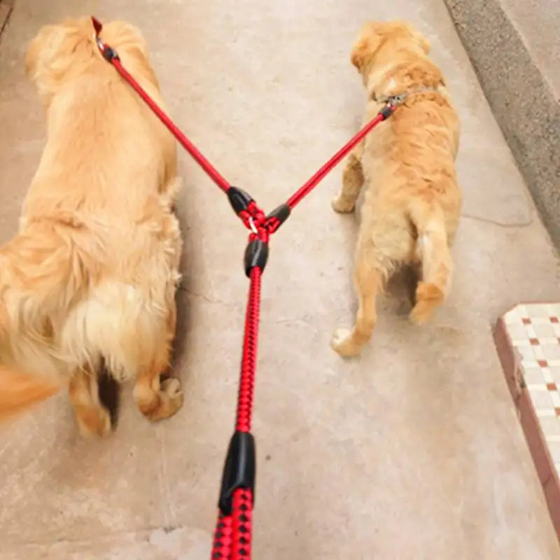 Double Dog Walking Leash – Tangle‑Free 360° Rotation – Durable Nylon – 55″ Length – All‑Stage Dogs