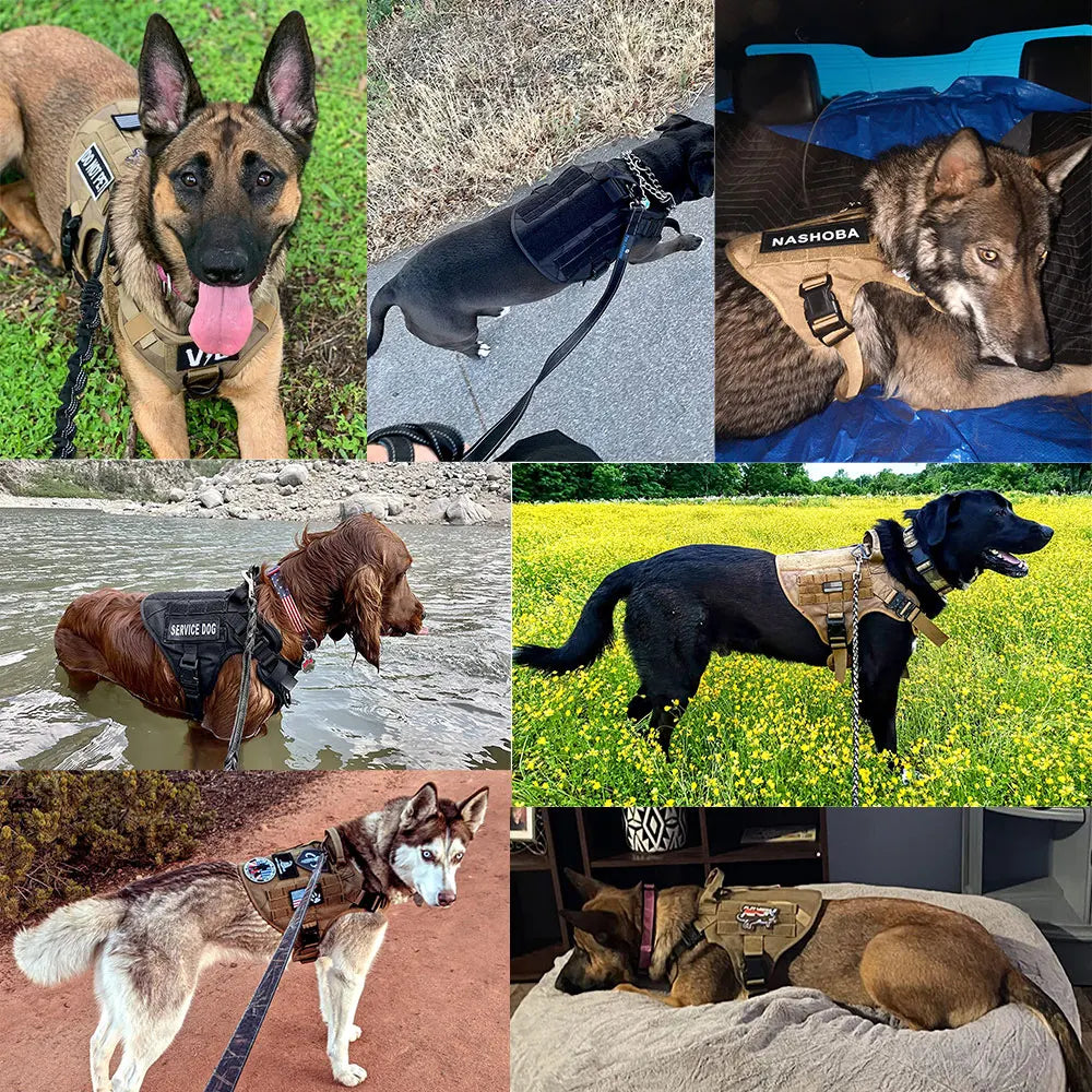 Dog Training Vest Harness & Leash Set – Adjustable No‑Pull Quick‑Release – 1050D Nylon Tactical Molle – S–XL – Medium & Large Dogs