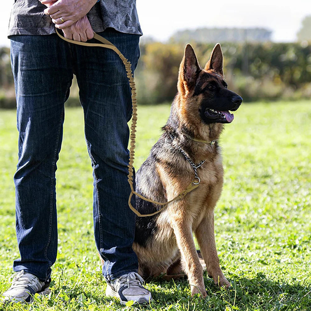 Tactical Dog Leash – Shock‑Absorbing Bungee – Premium Nylon – Adjustable 41 – 57 in – Medium & Small Dogs