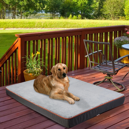 Orthopedic Dog Bed – Joint Relief – Waterproof Sponge Foam – 37.4×27.5×3.1″ Large – Dogs