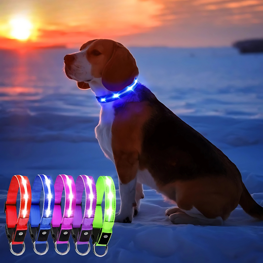 Rechargeable LED Dog Collar – Reflective Night Safety Visibility – Waterproof Nylon – USB Light‑Up Adjustable (S–L) – Small to Large Dogs