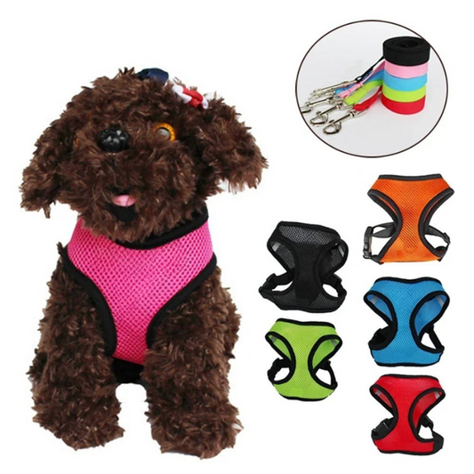 Pet Harness & Leash Set – Quick‑Release Adjustable Polyester Mesh – Breathable S/M/L Vest – Cats & Small Dogs