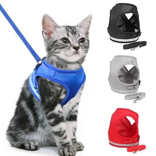 Pet Harness & Leash Set – Quick‑Release Adjustable Polyester Mesh – Breathable S/M/L Vest – Cats & Small Dogs