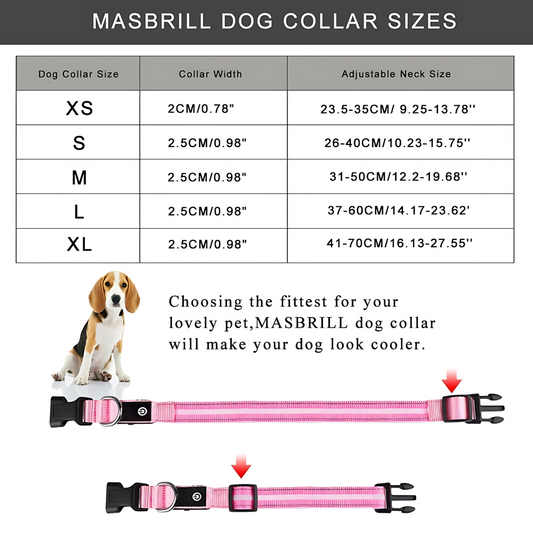 Rechargeable LED Dog Collar – Reflective Night Safety Visibility – Waterproof Nylon – USB Light‑Up Adjustable (S–L) – Small to Large Dogs