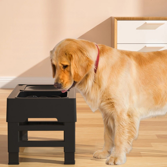 Elevated Dog Slow Feeder – 4-Height Adjustable Wood Stand – Stainless Steel & Splash-Proof Bowls – For Small & Medium Dogs