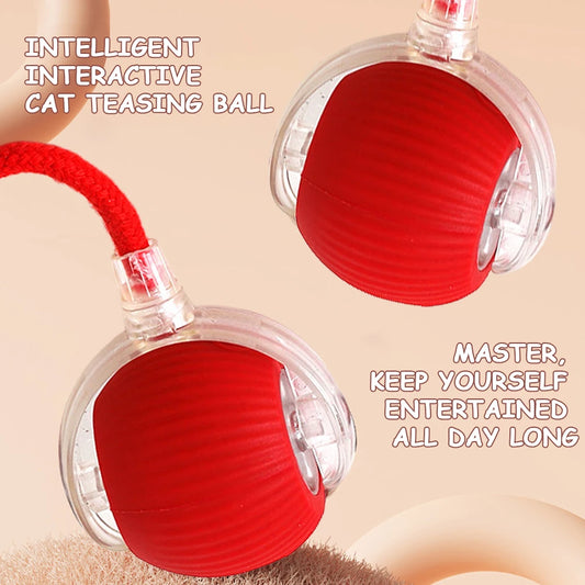 Automatic Rolling Cat Ball – Self‑Rotating Interactive Cat Toy – USB‑Rechargeable Plastic & Silicone – 2.56″ Diameter – Indoor Cats & Kittens