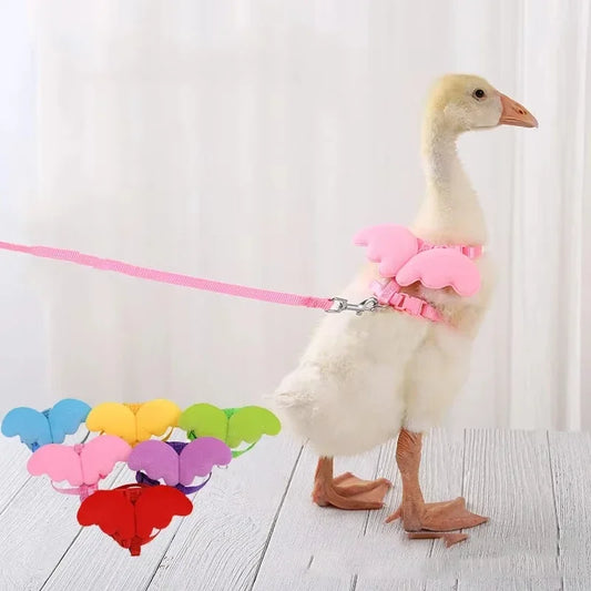 Adjustable Duck Wing Pet Harness & Leash – Safe Walking Rope – Nylon – XS/S/M – Multi‑Color