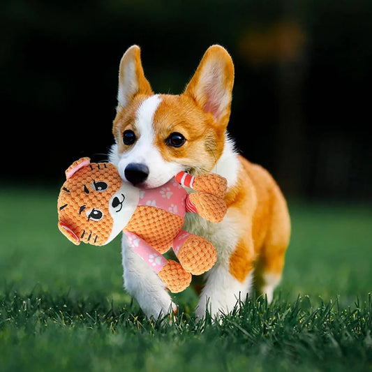 Interactive Plush Squeaky Dog Toy – Pineapple Fleece & Crinkle Paper – Durable Soft Chew Toy – One Size – Small, Medium & Large Dogs